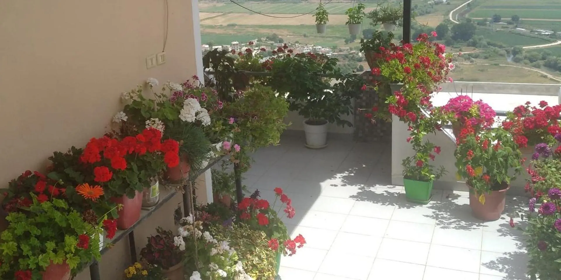 Green Nest Garden House Saranda 0*,  Arnavutluk