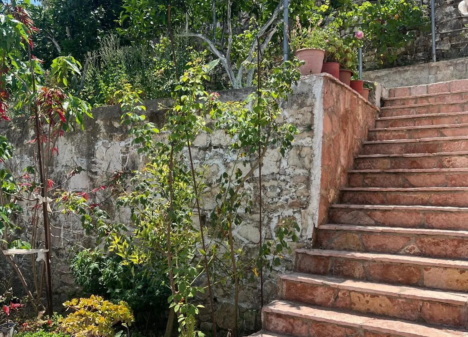 Tatil Evi Green Nest Garden House Saranda